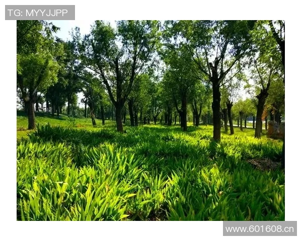 弗拉格盛赞克尼佩尔有望成为4号秀未来发展前景令人期待