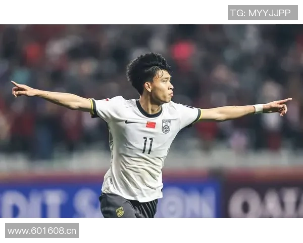 毛剑卿谈国足选帅外教与土帅应共同协商提升球队实力